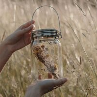 SONNENGLAS® Classic Zonne Lamp 250ml